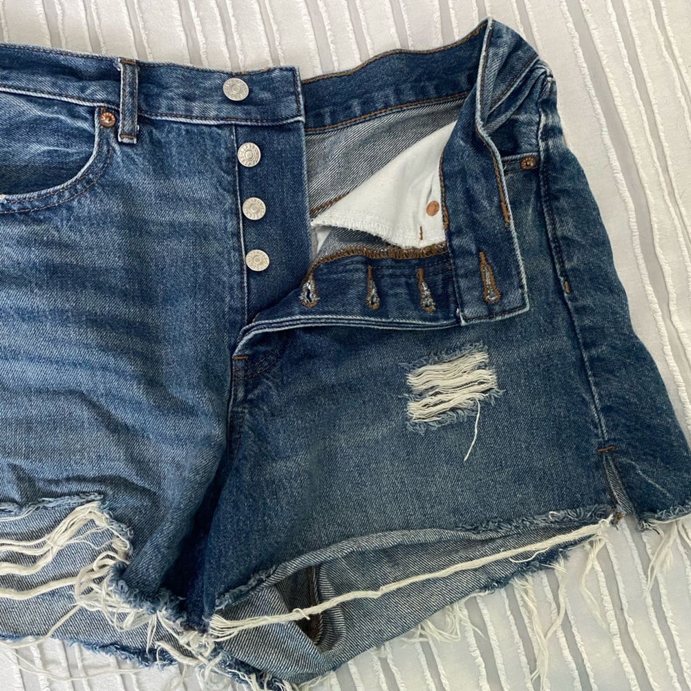 Express High Rise Mom Short
